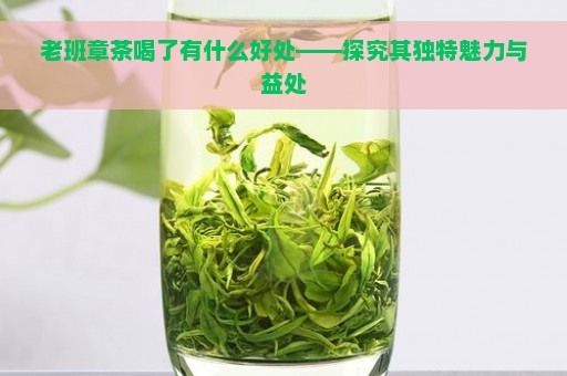 老班章茶喝了有什么好处——探究其独特魅力与益处