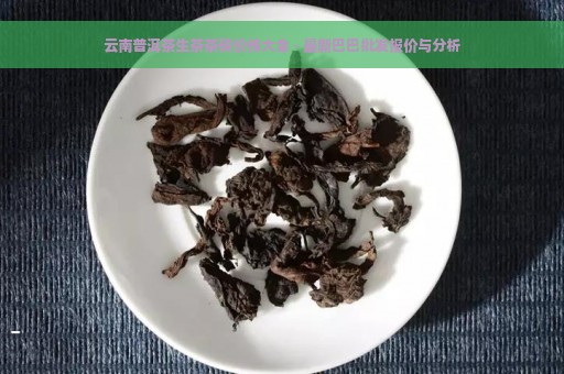 云南普洱茶生茶茶砖价格大全 - 最新巴巴批发报价与分析