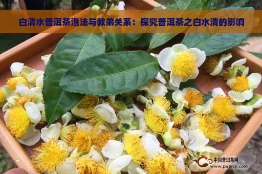 白清水普洱茶泡法与教弟关系：探究普洱茶之白水清的影响