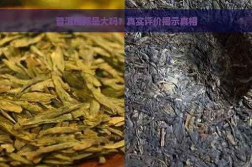 普洱域邦是大吗？真实评价揭示真相