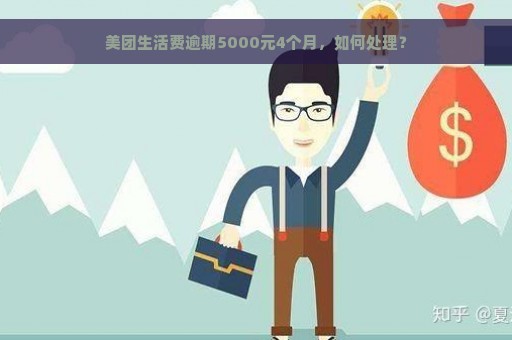 美团生活费逾期5000元4个月，如何处理？