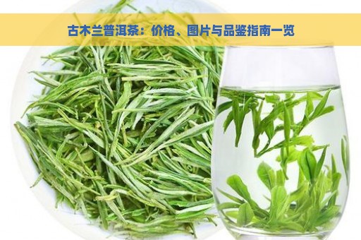 古木兰普洱茶：价格、图片与品鉴指南一览