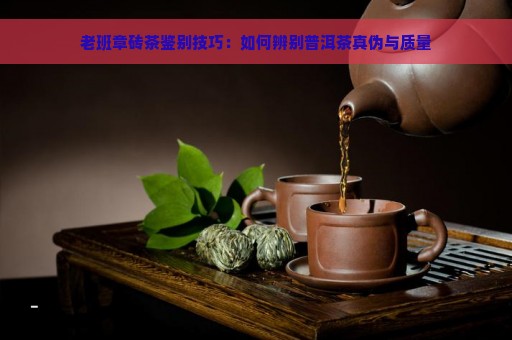 老班章砖茶鉴别技巧：如何辨别普洱茶真伪与质量