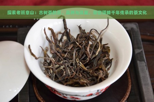 探索老班章山：古树茶的历、品种与品鉴，带你领略千年传承的茶文化