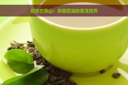 班章古茶山：茶香四溢的普洱世界