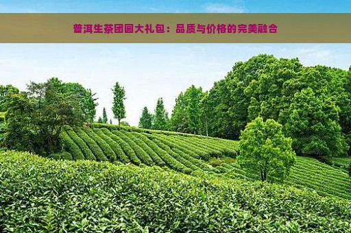 普洱生茶团圆大礼包：品质与价格的完美融合