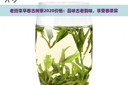 老班章早春古树茶2020价格：品味古老韵味，享受春茶宴