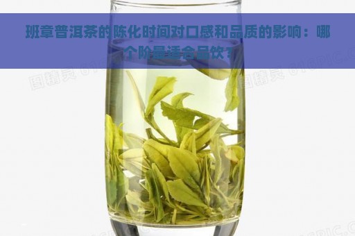 班章普洱茶的陈化时间对口感和品质的影响：哪个阶最适合品饮？