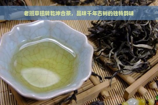 老班章扭转乾坤合茶，品味千年古树的独特韵味