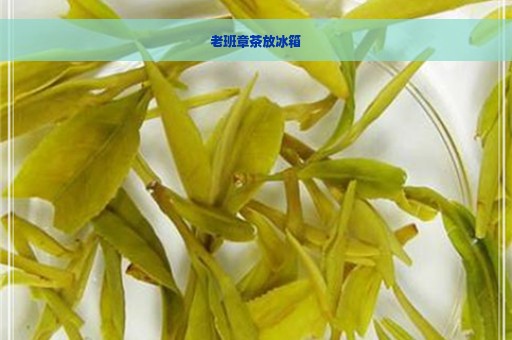 老班章茶放冰箱