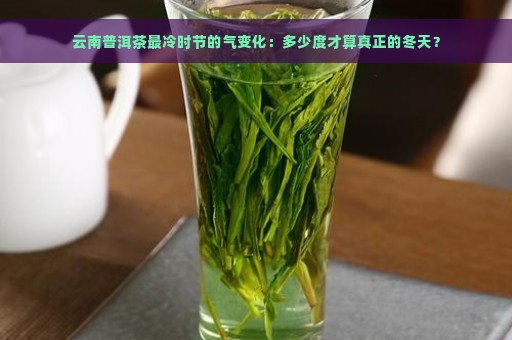 云南普洱茶最冷时节的气变化：多少度才算真正的冬天？