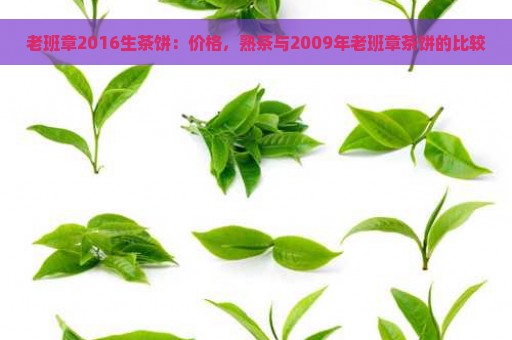 老班章2016生茶饼：价格，熟茶与2009年老班章茶饼的比较