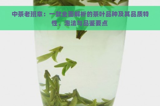 中茶老班章：一款全面解析的茶叶品种及其品质特性、泡法与品鉴要点