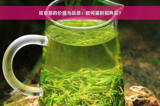 班章茶的价值与品质：如何鉴别和购买？