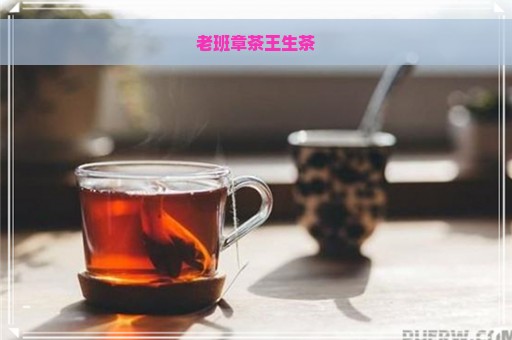 老班章茶王生茶