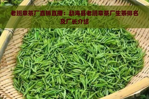 老班章茶厂直销直播：勐海县老班章茶厂生茶排名及厂长介绍