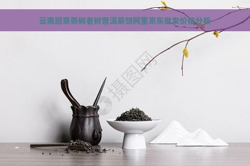 云南班章茶树老树普洱茶饼阿里京东批发价格分析