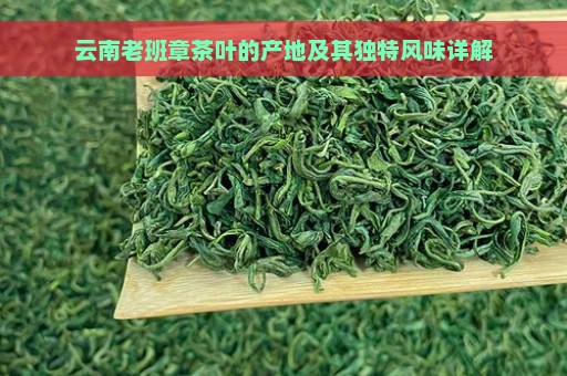 云南老班章茶叶的产地及其独特风味详解