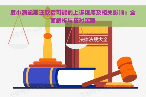 度小满逾期还款后可能的上诉程序及相关影响：全面解析与应对策略