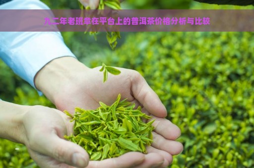 九二年老班章在平台上的普洱茶价格分析与比较