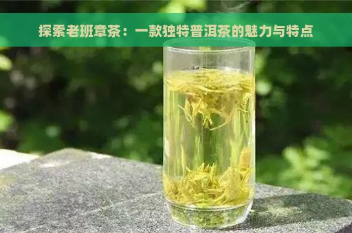 探索老班章茶：一款独特普洱茶的魅力与特点