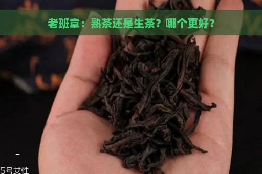 老班章：熟茶还是生茶？哪个更好？