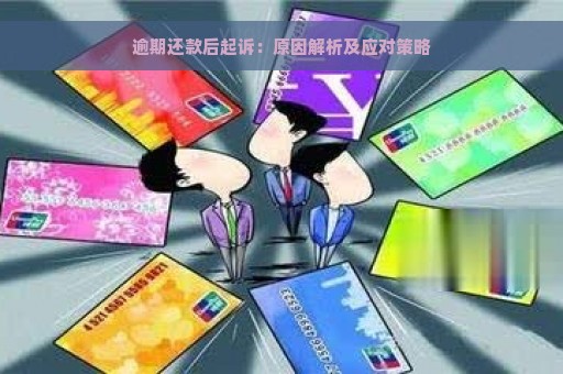 逾期还款后起诉：原因解析及应对策略