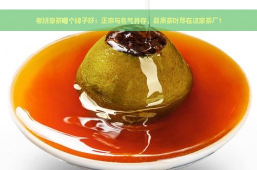 老班章茶哪个牌子好：正宗与名气并存，品质茶叶尽在这家茶厂！