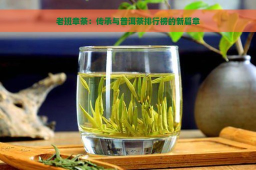 老班章茶：传承与普洱茶排行榜的新篇章