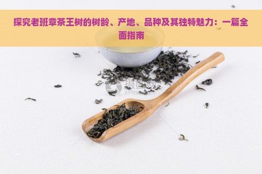 探究老班章茶王树的树龄、产地、品种及其独特魅力：一篇全面指南