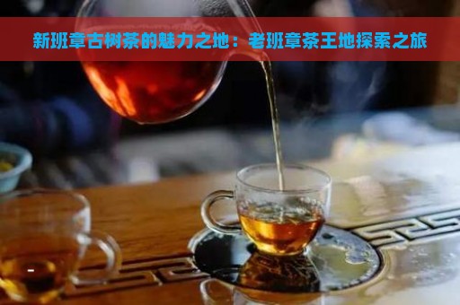 新班章古树茶的魅力之地：老班章茶王地探索之旅