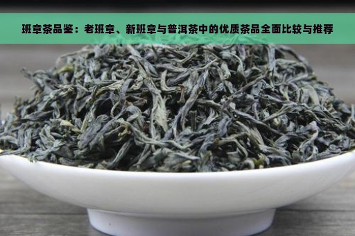 班章茶品鉴：老班章、新班章与普洱茶中的优质茶品全面比较与推荐