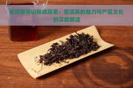 老班章茶山秘境探索：普洱茶的魅力与产区文化的深度解读