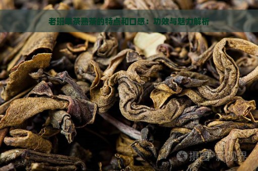 老班章茶熟茶的特点和口感：功效与魅力解析