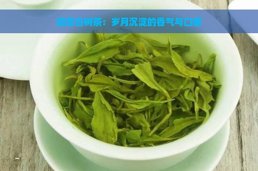 班章古树茶：岁月沉淀的香气与口感