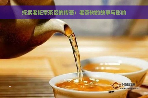 探索老班章茶区的传奇：老茶树的故事与影响