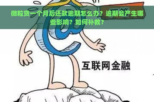 微粒贷一个月后还款逾期怎么办？逾期会产生哪些影响？如何补救？