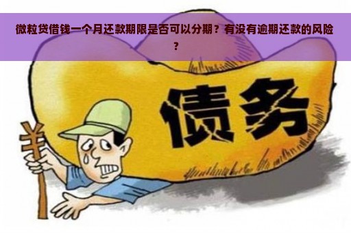 微粒贷借钱一个月还款期限是否可以分期？有没有逾期还款的风险？