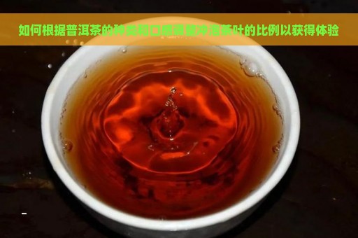 如何根据普洱茶的种类和口感调整冲泡茶叶的比例以获得体验