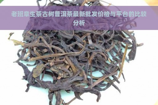 老班章生茶古树普洱茶最新批发价格与平台的比较分析