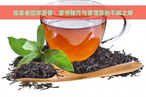 探索老班章茶香：家传秘方与普洱茶的不解之缘