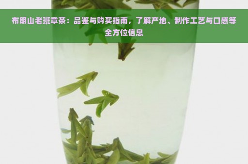 布朗山老班章茶：品鉴与购买指南，了解产地、制作工艺与口感等全方位信息