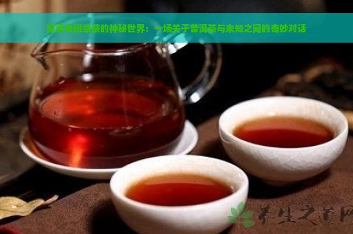 探寻老班章茶的神秘世界：一场关于普洱茶与未知之间的奇妙对话