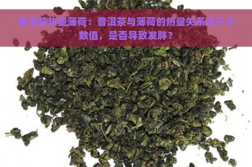 普洱茶热量薄荷：普洱茶与薄荷的热量关系及千卡数值，是否导致发胖？