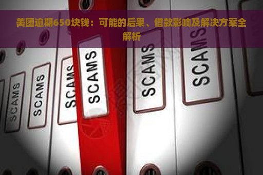 美团逾期650块钱：可能的后果、借款影响及解决方案全解析