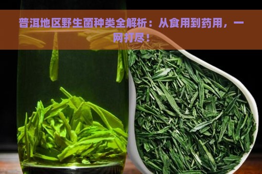 普洱地区野生菌种类全解析：从食用到药用，一网打尽！