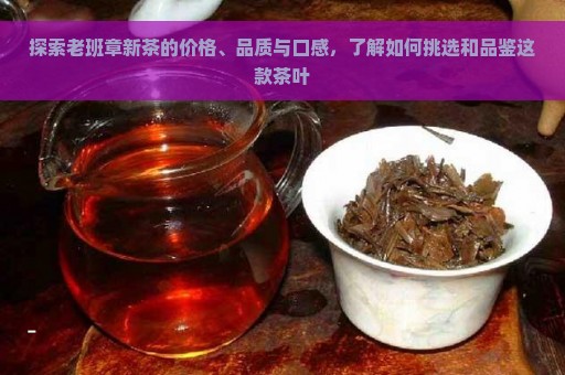 探索老班章新茶的价格、品质与口感，了解如何挑选和品鉴这款茶叶