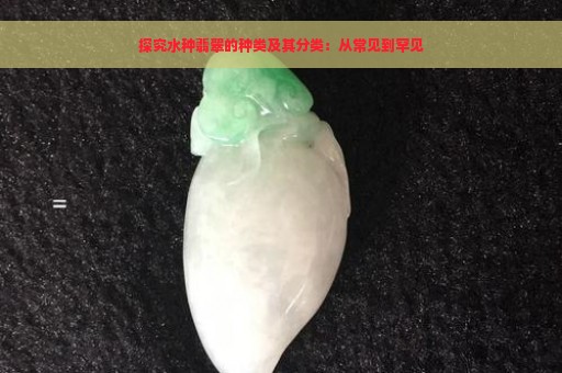 探究水种翡翠的种类及其分类：从常见到罕见