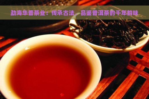 勐海华普茶业：传承古法，品鉴普洱茶的千年韵味