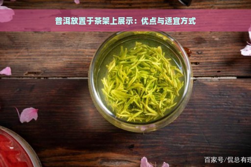 普洱放置于茶架上展示：优点与适宜方式